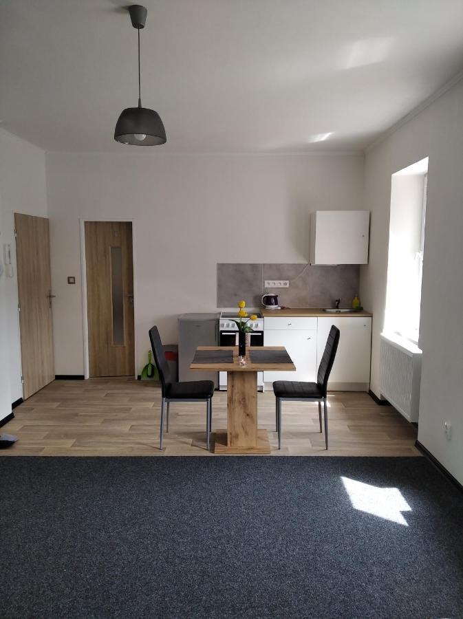 Apartmany Borska Karlovy Vary Dış mekan fotoğraf