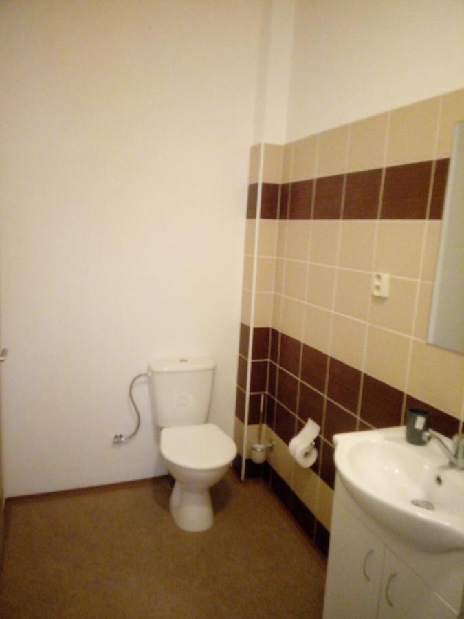 Apartmany Borska Karlovy Vary Dış mekan fotoğraf