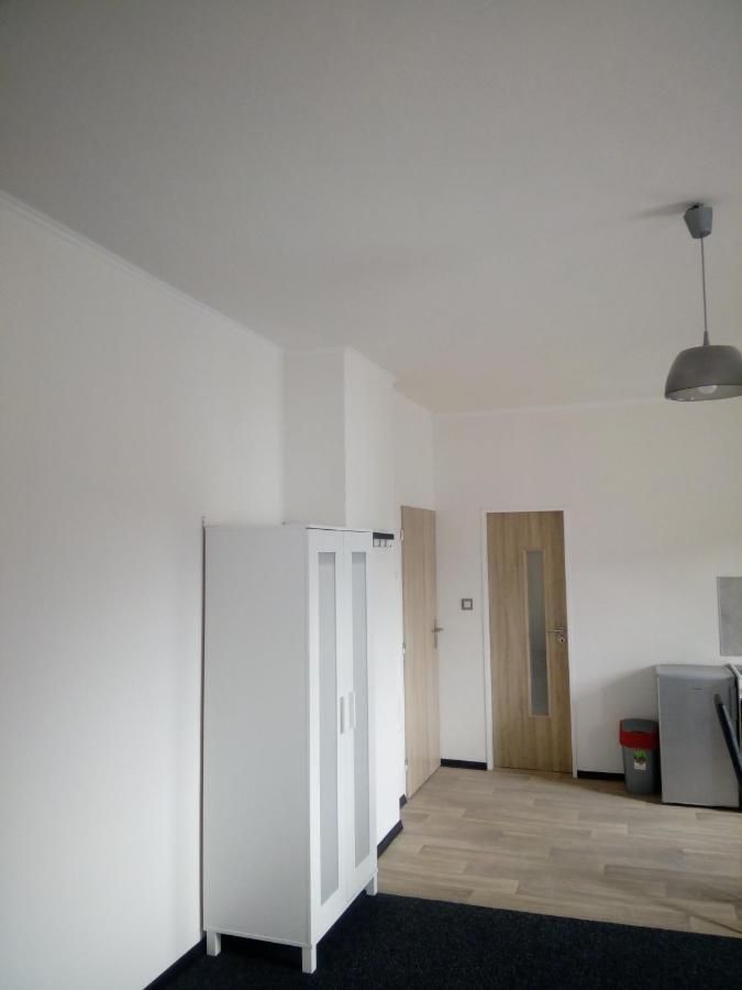 Apartmany Borska Karlovy Vary Dış mekan fotoğraf